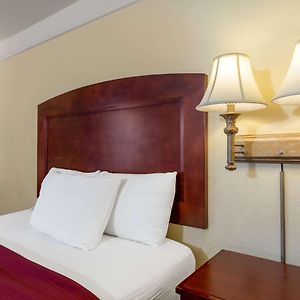 King Room Mobility Access or Non-Smoking